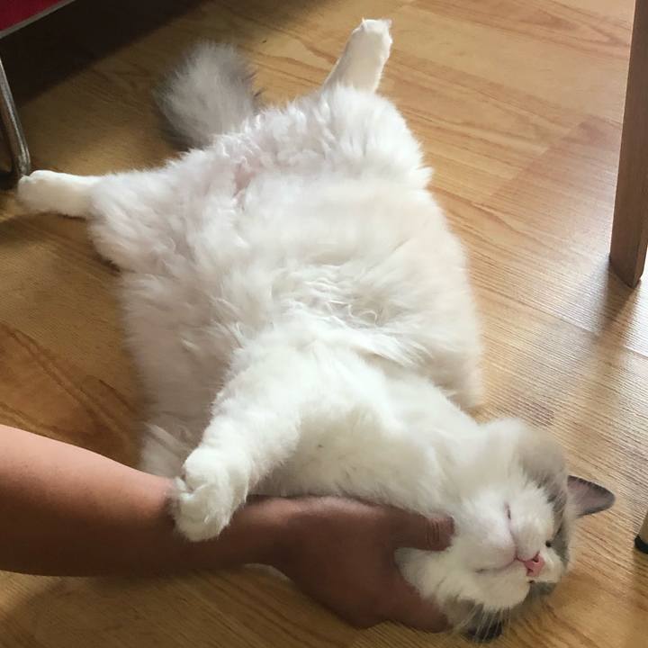 02c91710 cbd2 4386 a5cf 61df5d3ea0ca 1562886860676