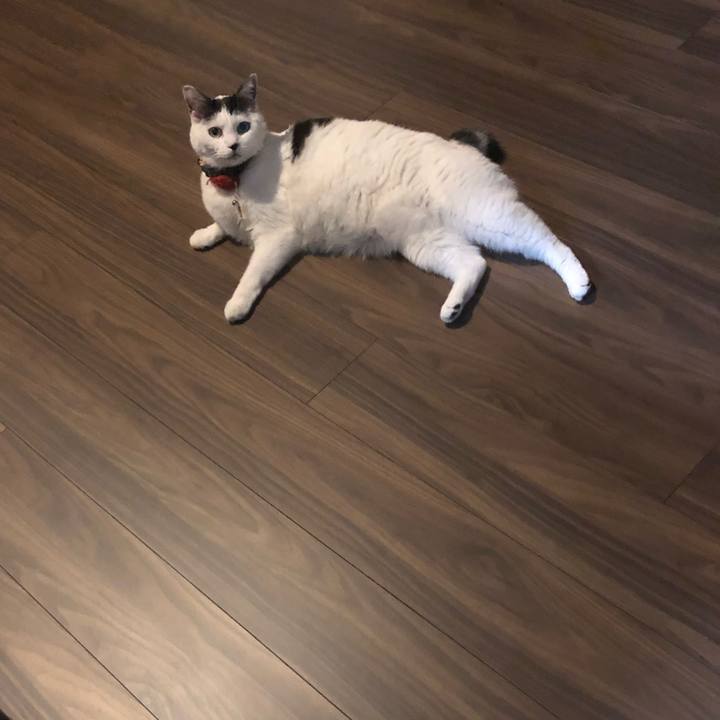 02c91d9a f350 4dfb bfd8 ee4310b41be1 1525001358387