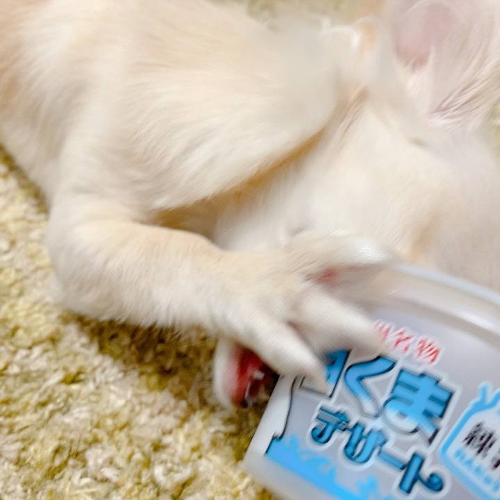 02c93458 7e74 426a 88db cbe1f9621fbd 1597132812797