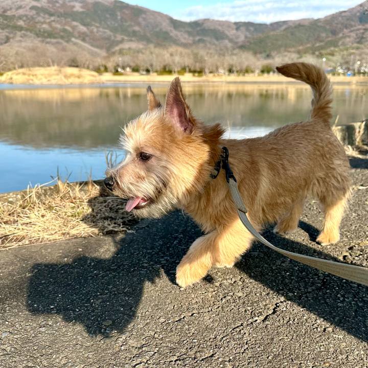 02c96c2a 7969 4a1f 8c24 17761af63a64 1707489218358