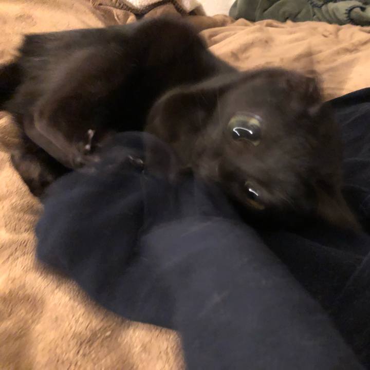 02c97831 a5ab 4cf4 b8de 6a8bf7c22d92 1523957727592