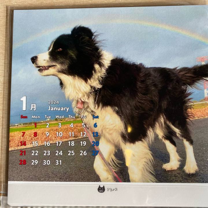 02c99908 12e9 437d b493 ea412ad7475d 1704056075081