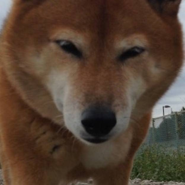 02c9a984 d98c 4437 9ed2 b41f13061c10 1539491845955