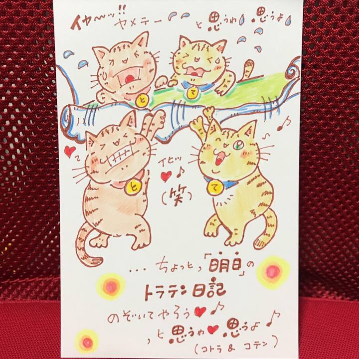 02c9a9d6 82a9 4fdf b290 aa5e3749a8ed 1558445853265