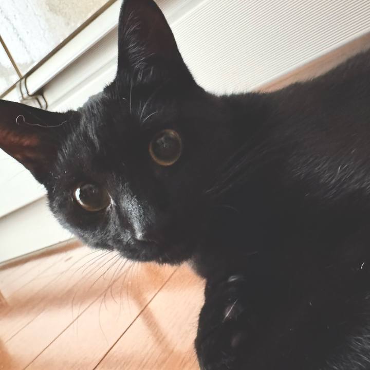 02c9af69 8915 426d abcb fe7183c62dca 1737416450576