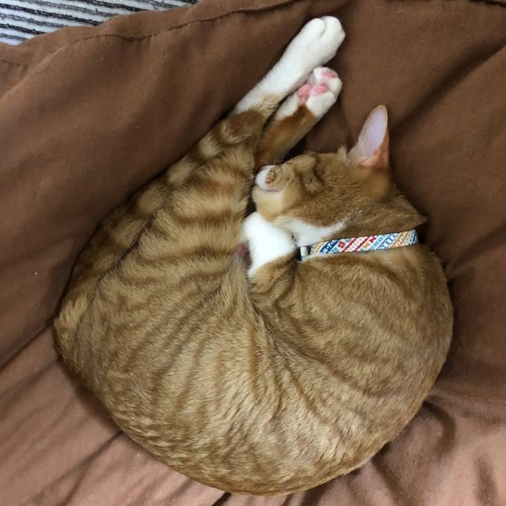 02c9c53a 7d2b 4a49 84f3 a953dac4d123 1560158785633