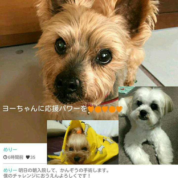 02c9df1e e619 4541 86d8 6cdc822e1fba 1528202868269