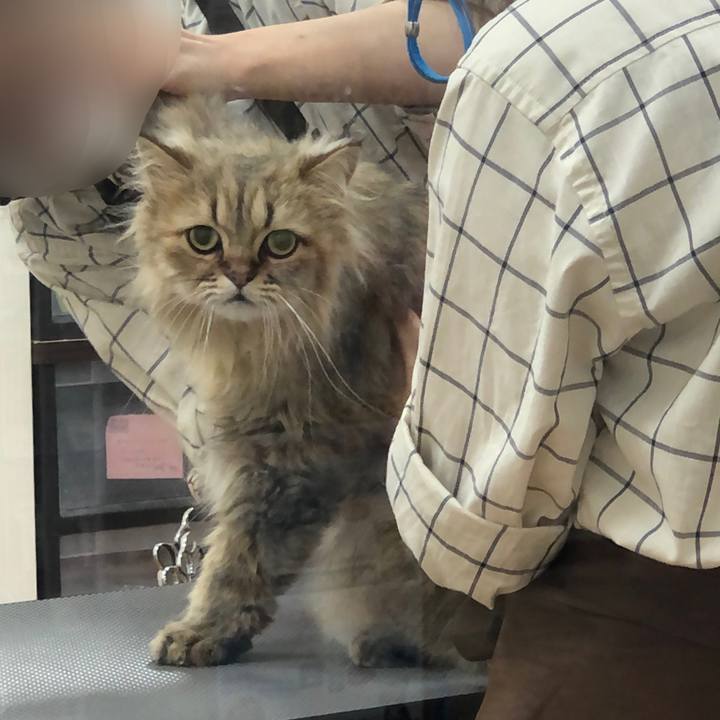 02c9e3fe 88dc 4ce0 b24a 97a7aeb88800 1628927777376