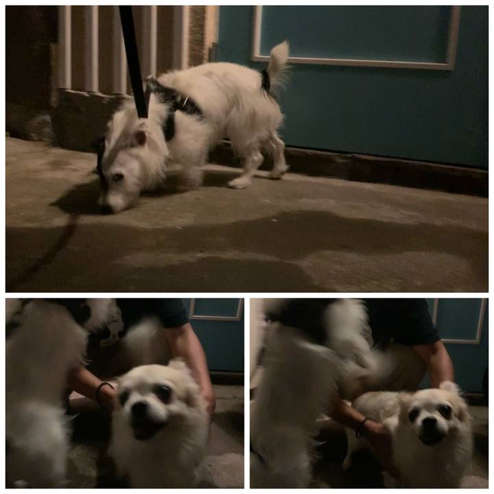 02ca1a4b b43a 45cd 9993 feae5d1d4c17 1661864846983