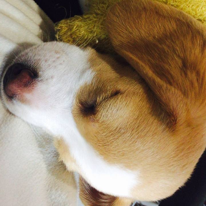 02ca30bd 6c1d 4432 81a7 f631a34065df 1613443947233