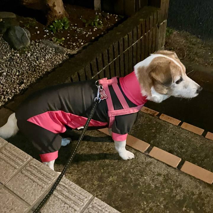 02ca34b1 2e58 4ffa b707 afc879b02962 1709645788246