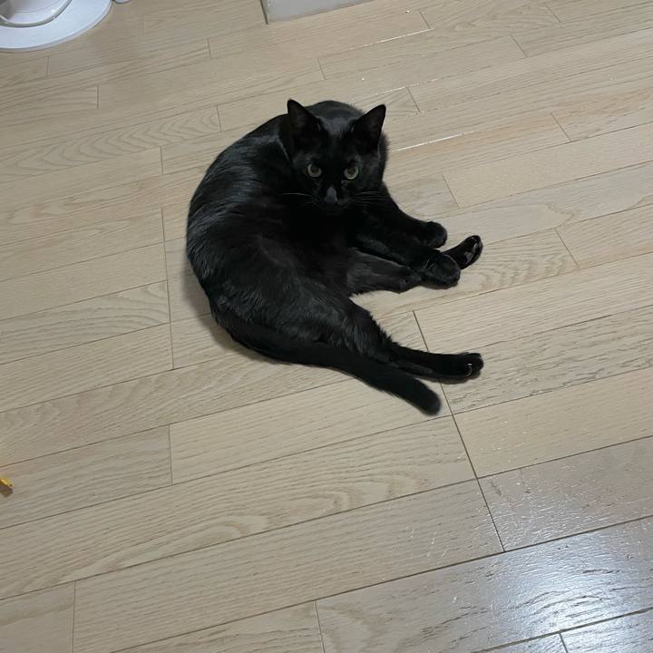 02ca9ca4 8635 4562 bef4 315d3834c252 1723897414847