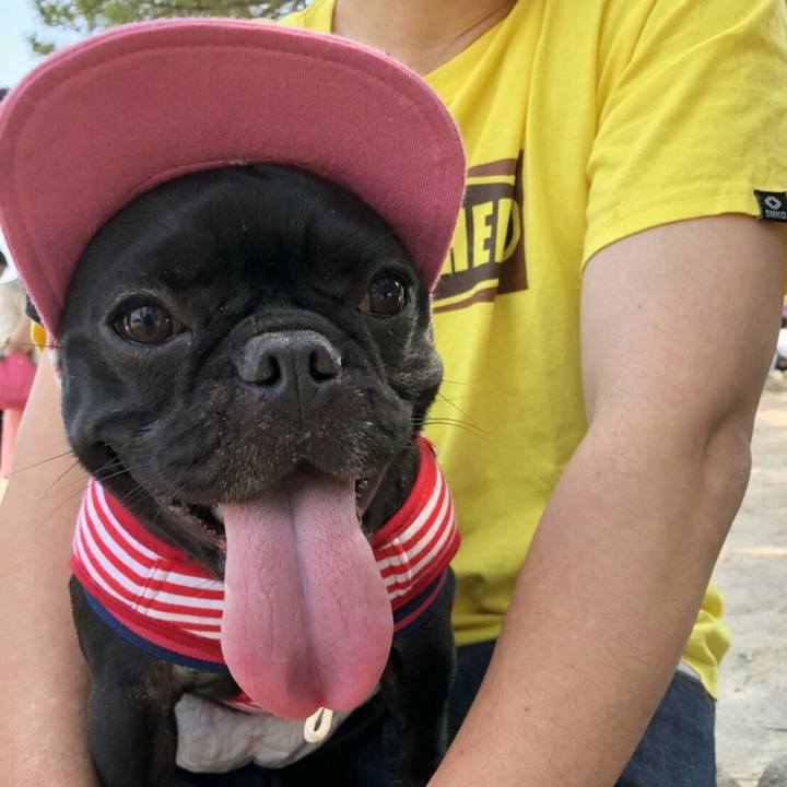 02caa137 f7c9 4124 b919 cdd4b94bfd41 1528549363873