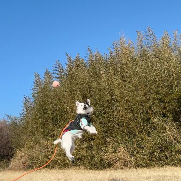 02caa8a2 9b31 485d b8c1 a6410a695364 1769477426002