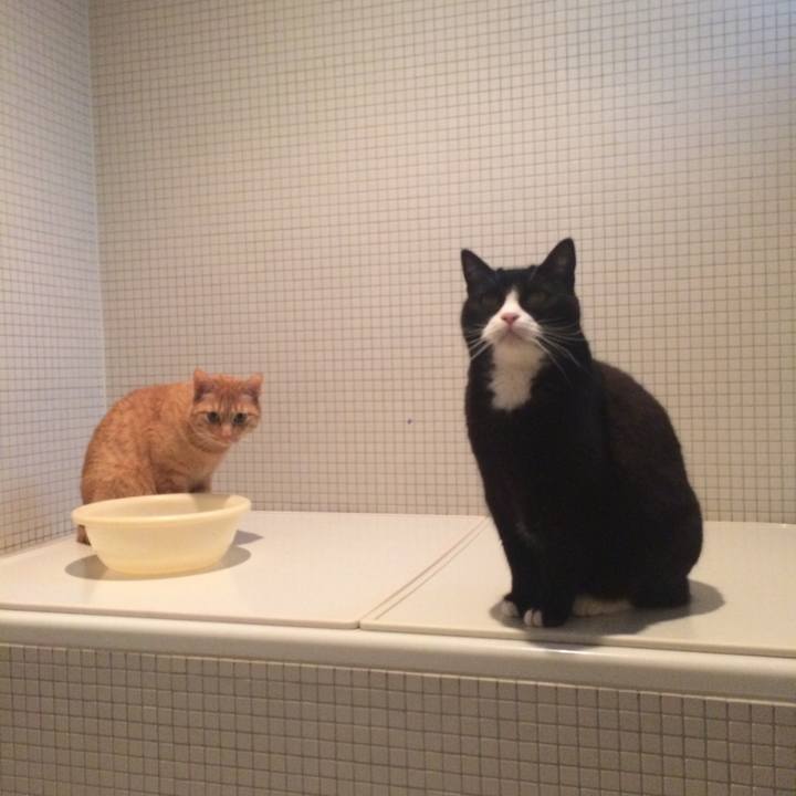 02caaa34 5df6 4b04 8931 11469a1d3862 1521728047882