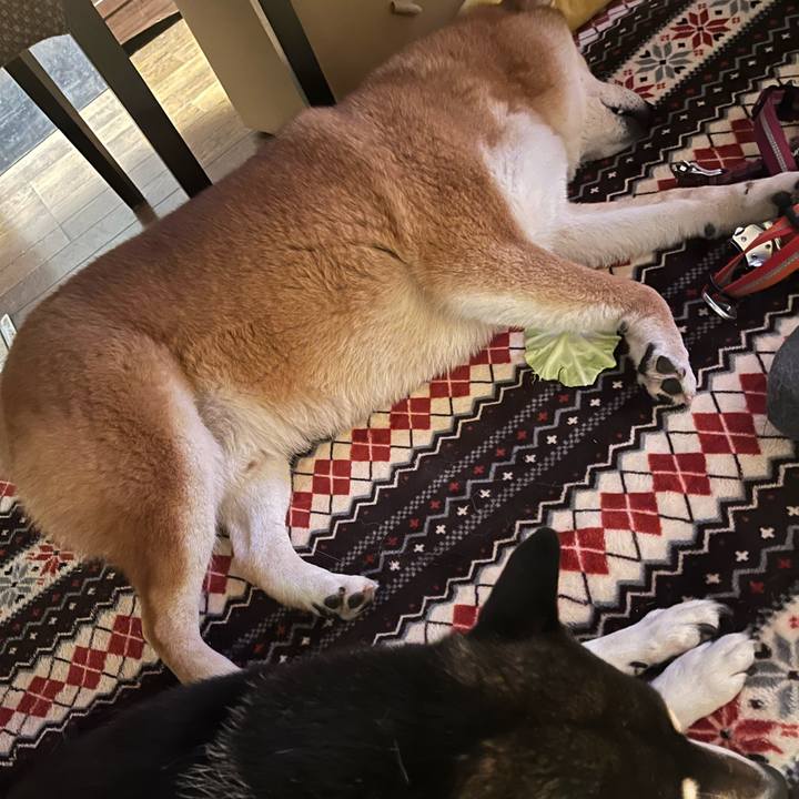 02cadfa9 68b0 4847 a0f9 6589ee434b5f 1641681604801