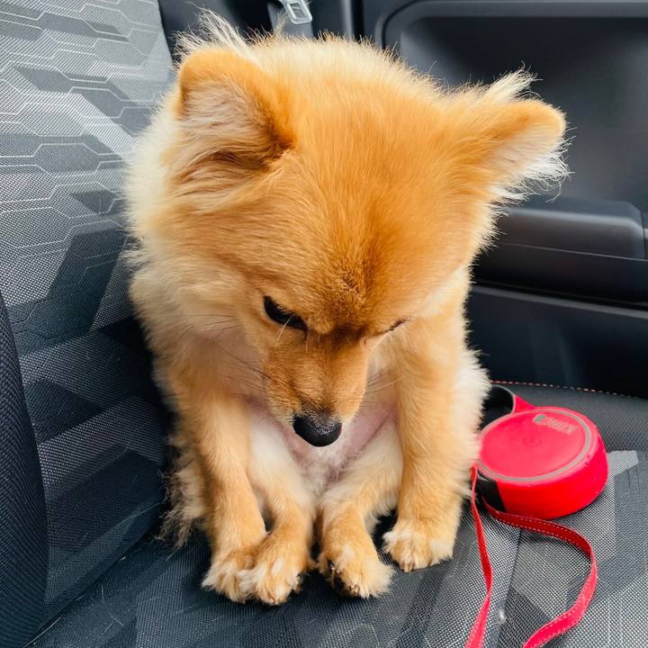 02cae2e6 91ce 4737 bfd7 9f80ddc71223 1651916772513