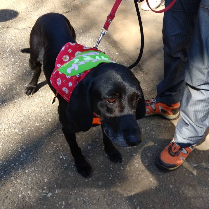 02cae4d0 99fc 4d3c 914d 89f8830db006 1554539267585