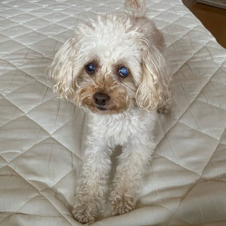 02cafad7 6aad 4627 80c3 7d4ace1b07e5 1618618754509