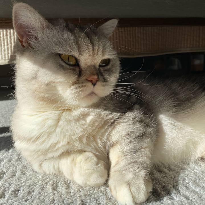 02cb53e7 7958 40c6 8606 49ee6c25deba 1739231573455