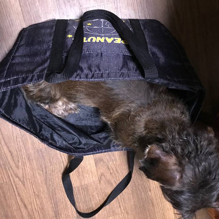 02cb5662 4aae 44e4 a5c6 c14a185bc5c3 1550849599570