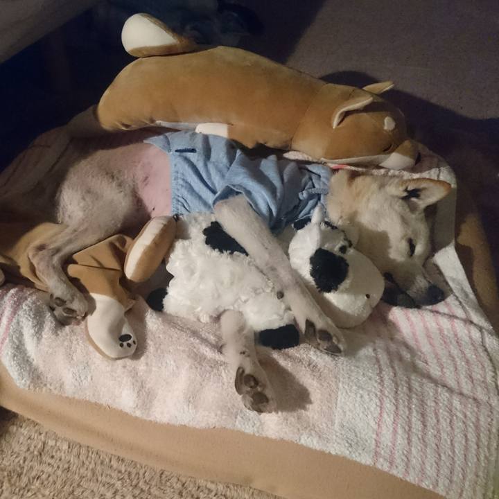 02cb733a cc69 47de 85f2 a71d2652a9e1 1528676144835