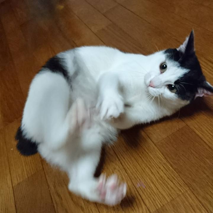 02cb8fd0 2150 4394 908f 559aac0e2f0d 1517569256686