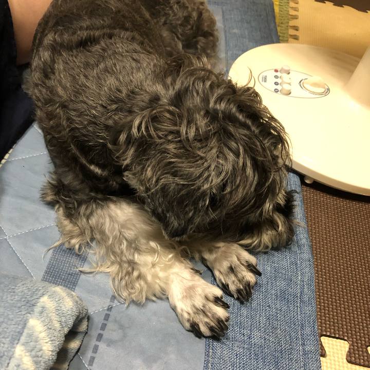 02cbb4ee 6eb2 4a31 a1fe cfec74a841a5 1694698943750