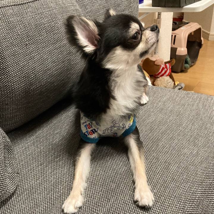 02cbc6a2 6b2c 48d8 928f 15be5da300d9 1619358451679