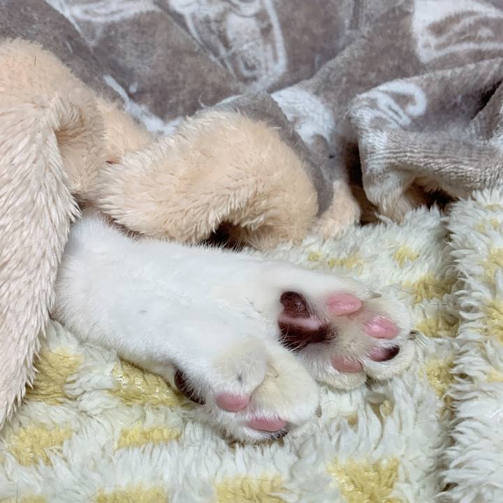 02cc2785 a3b8 4ed1 bb78 8debe79d3df1 1735617611947