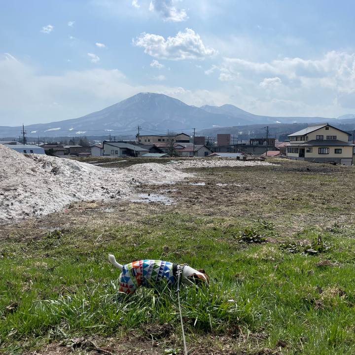 02cc49a5 5f48 44b2 99ca f5888a3516df 1649329957608