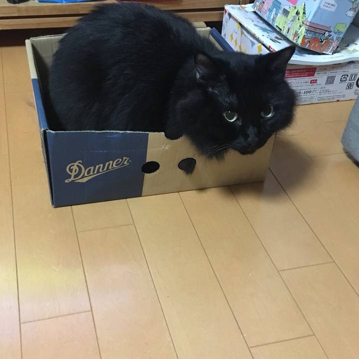 02cc54f4 ed43 4503 98b6 c7f1c4f89e97 1571572500177