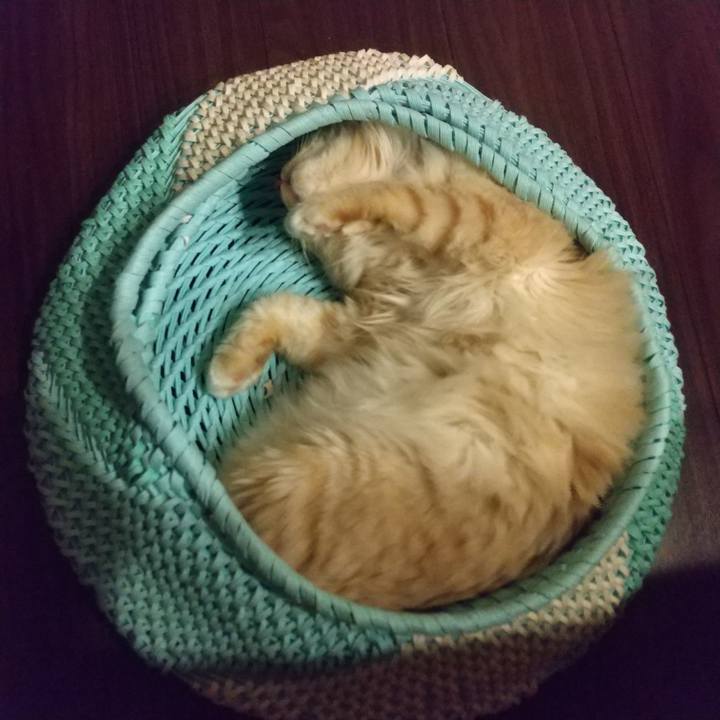 02cc590f f8ad 4c08 9e91 fe17f55e4dc7 1623592760540