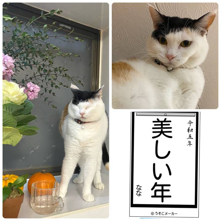 02cc6d29 e229 4b8a af00 54a194951440 1672755560421