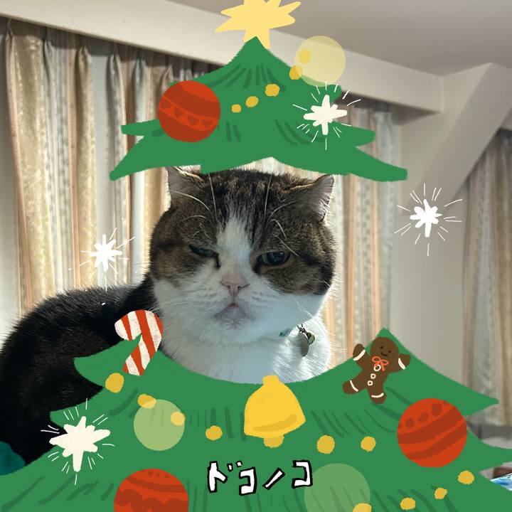 02cca019 3b07 4dbf a901 49c09a151df6 1761261882780