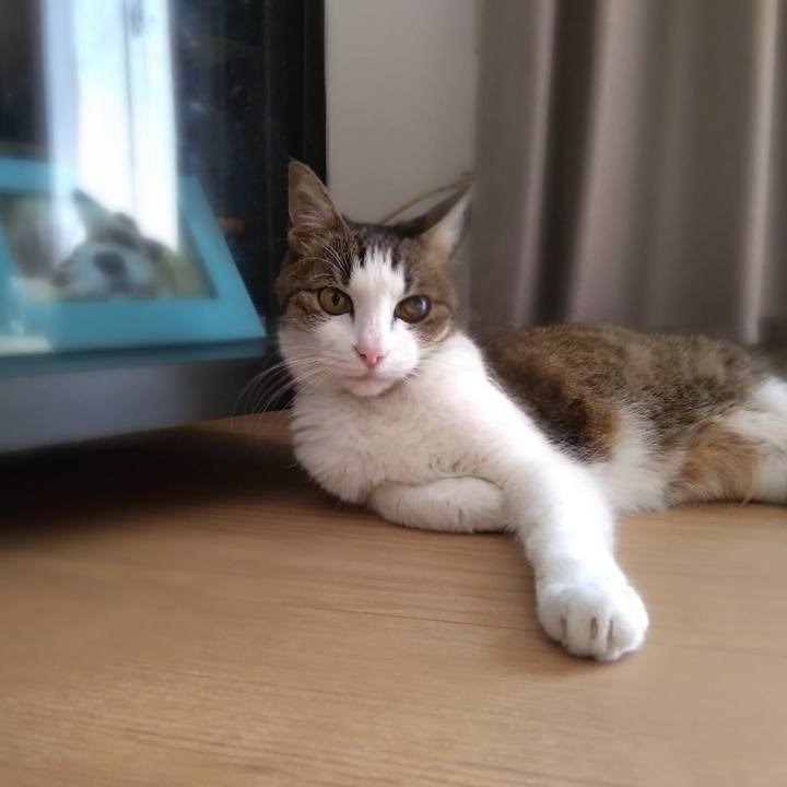 02ccd185 46d0 4124 b0f6 d0a5c45ef692 1522584827002