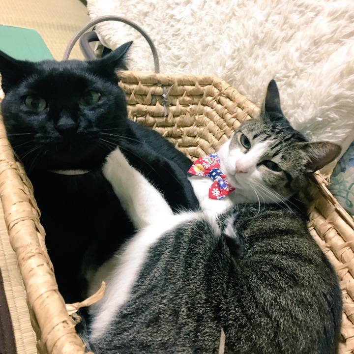 02cd01b4 7b5f 460b 809c 4eb9fc0ccc04 1540945391551