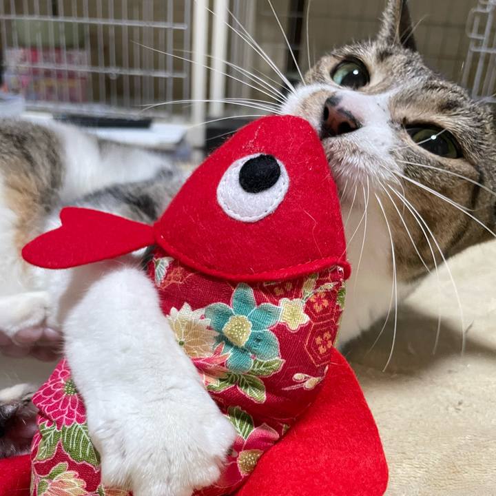 02cd14c1 91d5 4439 8f86 03100979ddb4 1642385878267