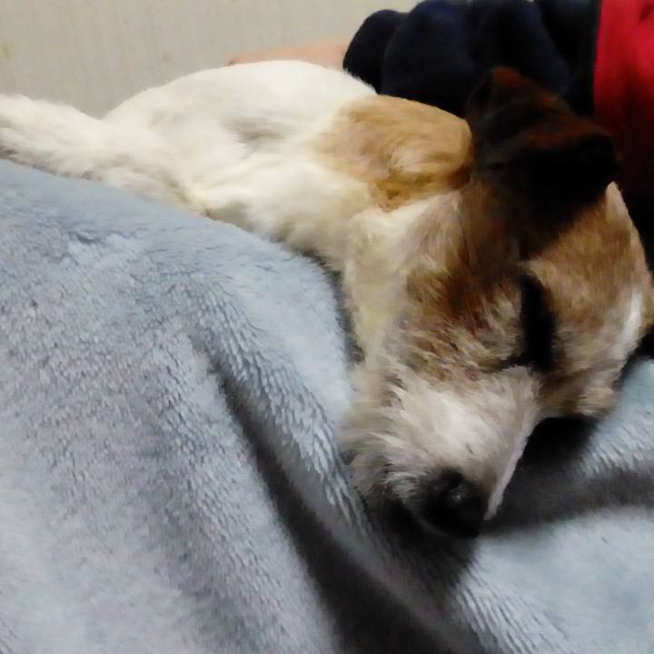 02cd22df 8fbf 4395 8d7d 6debd64e7106 1514534005626