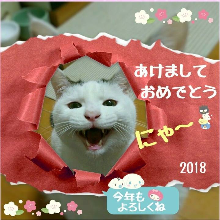 02cd51d4 1ad3 4636 957f adc4823fc382 1515338862901