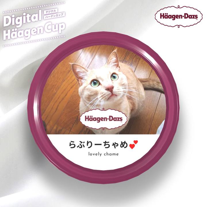 02cd5842 6709 4243 99c3 dd9608ea29ab 1607680518799