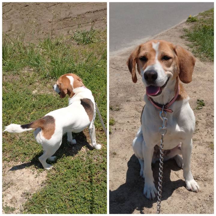 02cd6e9a 46c5 490c 93c3 b58118330e11 1590031615917