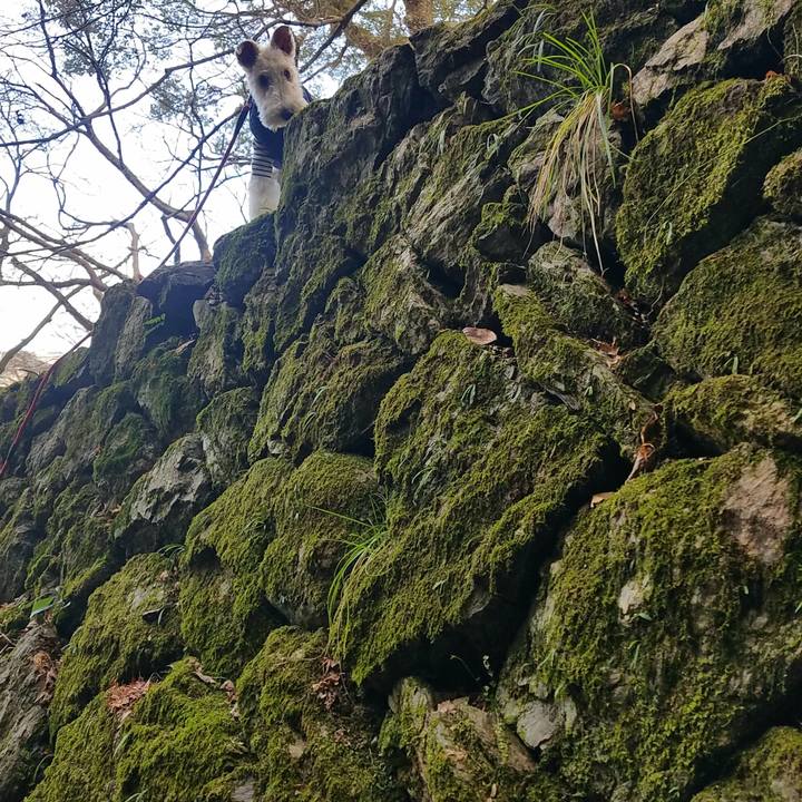 02cd7adb 00b8 4fec aedc 3a7b732eaa12 1580545286224