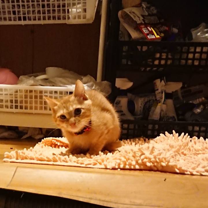 02cdd58d 6ac0 4450 95d0 b4bde65e9b6a 1632389555811