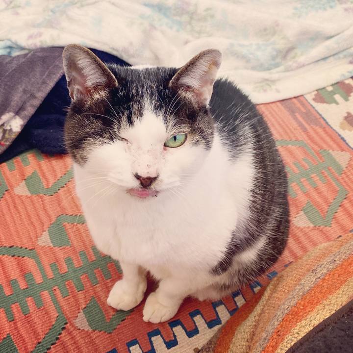 02cdd820 5fbf 4907 ab25 3bdf7150b735 1578898646338