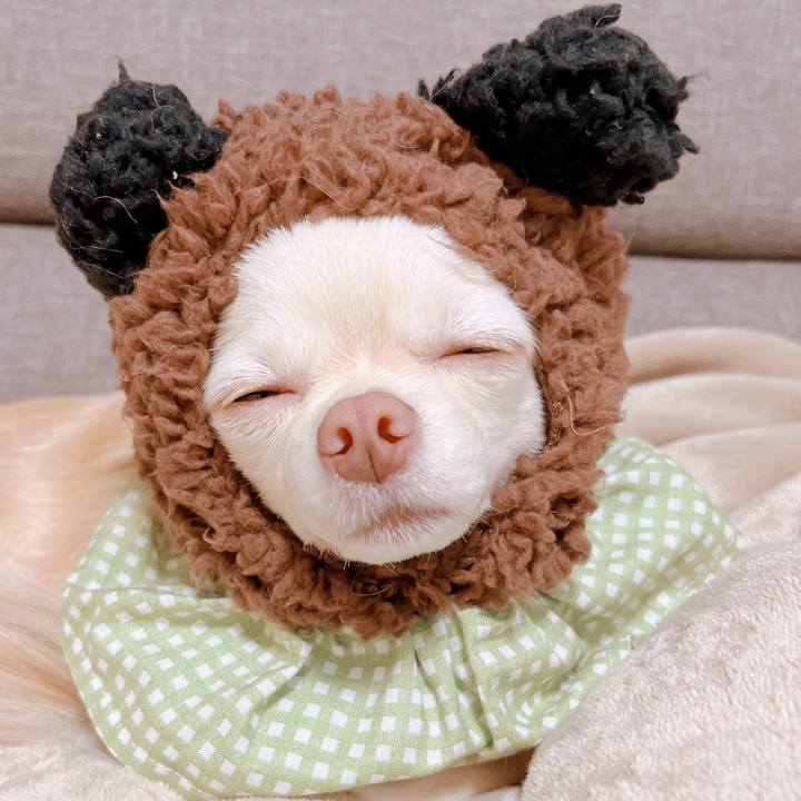 02cde087 b670 444b a3d5 7fe3dbbe4e26 1665988256753