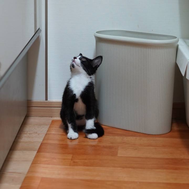 02ce0901 2b73 438c bea0 bcbda778c2bc 1619016727022