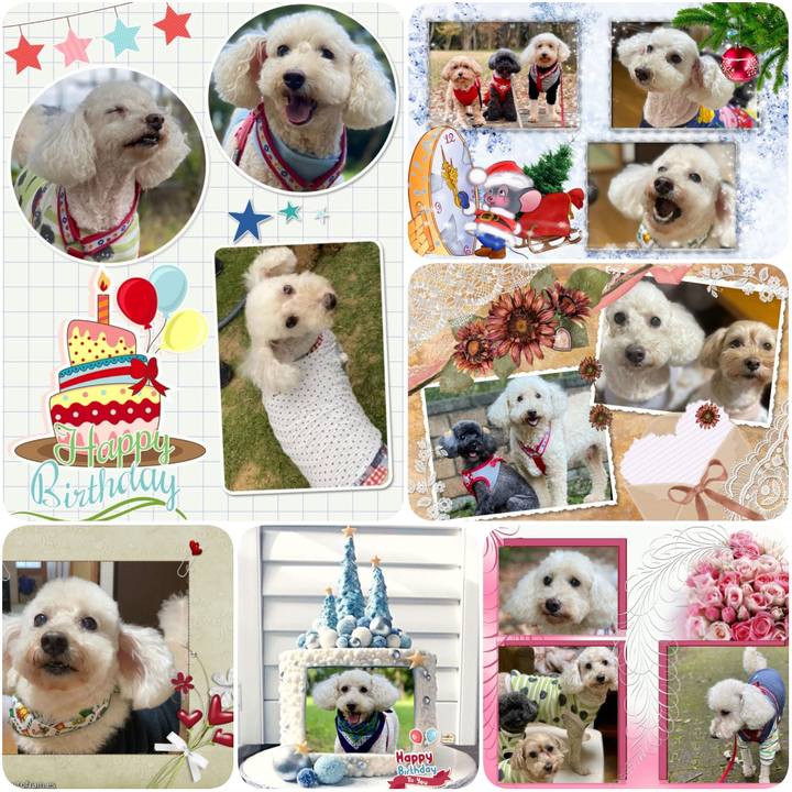 02ce7ba9 653e 458e 9be0 5d423a83e303 1640197278774