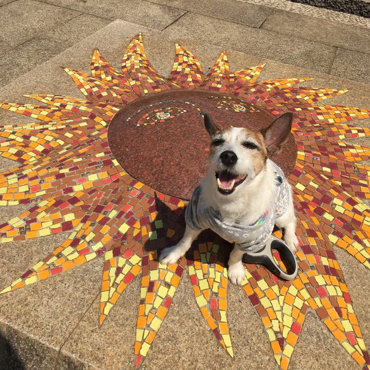 02ce7e3e e028 4208 a7c7 1c0d21872c0b 1651447271388