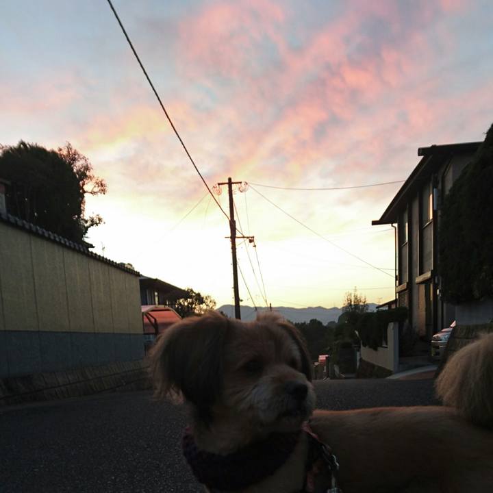 02ce7e56 ee57 4291 8aba 3460557ebb8c 1541542110633